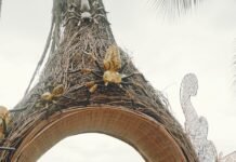 Love on the Riviera Maya: Exploring Cancun’s Romantic Honeymoon Destinations Cancun's Romantic Honeymoon Destinations