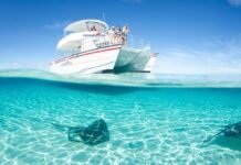 Stingray City Boat Tours: A Must-Do Activity in Grand Cayman