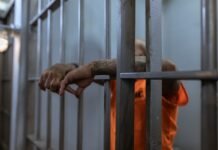 Clearing Your Record: Understanding Hays County Expungement Process Hays County Expungement