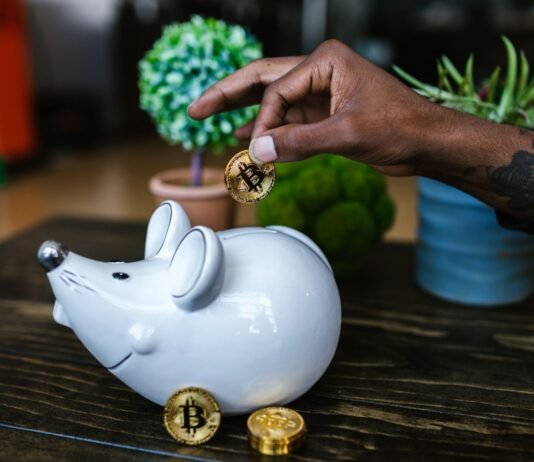 Investing in the Future: Insights into the Emerging Trends in the Cryptocurrency World Cryptocurrency World