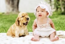 Introducing Your Pet to a New Baby: A Comprehensive Guide Pet