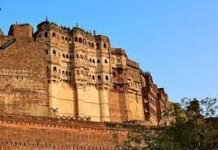 Exploring the Enchanting Locale of Yaaman Park: A Hidden Gem Unveiled Yaaman Park