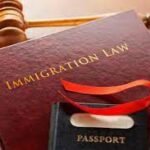 Challenges and Solutions in Asylum Law: Perspectives from Immigration Lawyers Asylum Law