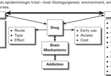The Connection Between Substance Abuse and Abusive Relationships Abusive Relationships