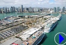 Webcam Port of Miami: A Virtual Gateway to Cruise Capital of the World Port of Miami