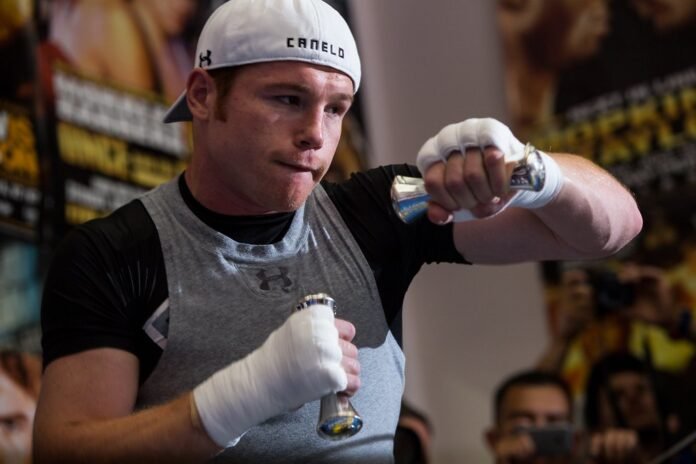 Canelo Alvarez Net Worth