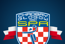 From Coal to Gold and Copper: Unveiling the Secrets of Lower Silesia’s Area