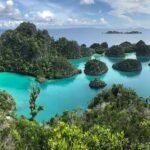Diverse Adventures in Indonesia: From Coastal Wonders to Lush Jungles