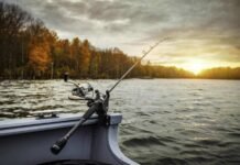 Buyers Guide for Fishing Rods: Making the Right Choice