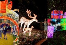 Transform Your Holidays with Professional Christmas Light Hanging Services