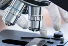 Choosing the Ideal Microscope for Your Scientific Journey