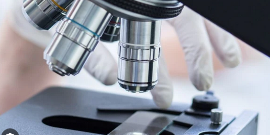 Choosing the Ideal Microscope for Your Scientific Journey