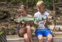 Discover the Top 8 Attractions at Ocho Ríos Cruise Port: A Caribbean Paradise Awaits Ocho Ríos Cruise Port