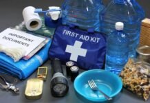 What Is in an Earthquake Emergency Kit: Exploring Essential Preparedness Measures