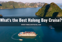 What’s the Best Halong Bay Cruise for You? 6 Tips to Find Out When traveling to Vietnam, you can't miss visiting Halong Bay. It's a gorgeous natural wonder of the country