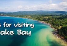 Immerse Yourself in the Enchanting Wonders of Memorable Drake Bay Tours!