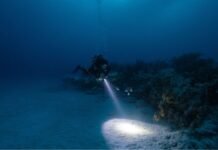 Unveiling the Mysteries of Egypt Scuba Diving: A Comprehensive Guide Egypt Scuba Diving