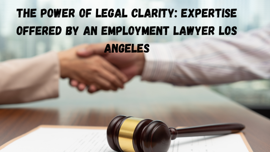 The Power of Legal Clarity: Expertise Offered by an Employment Lawyer Los Angeles