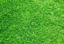 Building Your Herbicide Kit: Essentials To Include