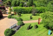 Why Fake Plants in UAE Are the New Go-To for Chic, Low-Maintenance Living