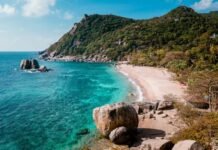 Discovering Nudibranchs: The Tiny Wonders of Koh Tao Waters Koh Tao