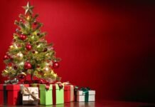 Raise Your Merriments: Find Interesting Christmas Gifts