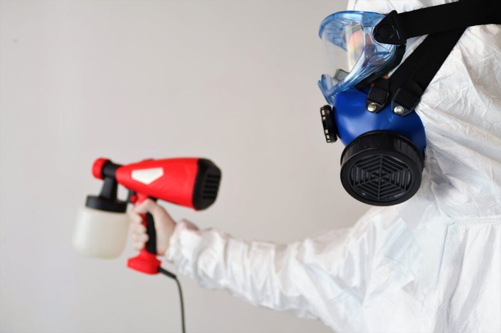 Understanding the Importance of Mold Removal 