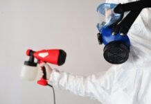 Understanding the Importance of Mold Removal Mold Removal