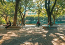 Your Guide to Touring Thailand’s Top Universities in 2024 Touring Thailand