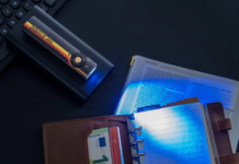 What to do if your dog has ringworm ringworm