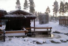 Can You Use an Outdoor Sauna Year-Round? Outdoor Sauna