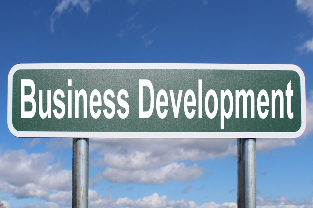 What Can a Business Development Company Do for You? 