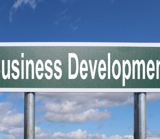 What Can a Business Development Company Do for You? Business Development Company