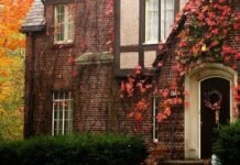 Why Humboldt County Real Estate Is Perfect for Nature Lovers Humboldt County Real Estate