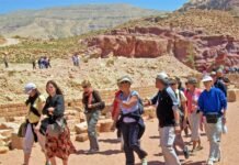 Discover Nashville Like a Local: The Best Walking Tour Experiences Nashville