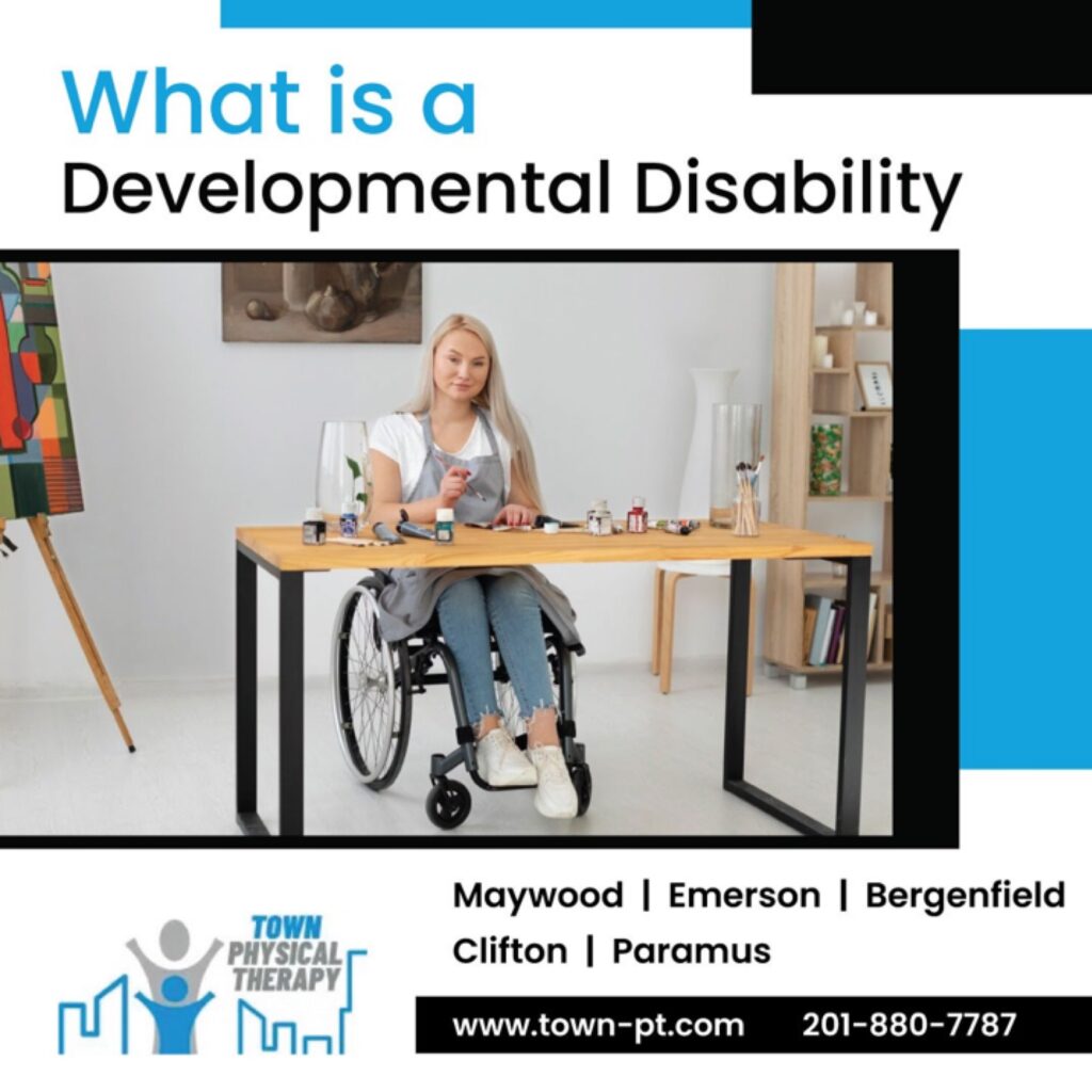 What is a Developmental Disability