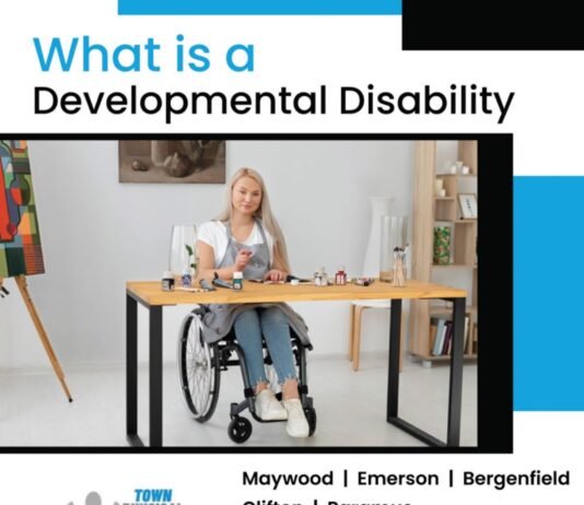 What is a Developmental Disability developmental Disability