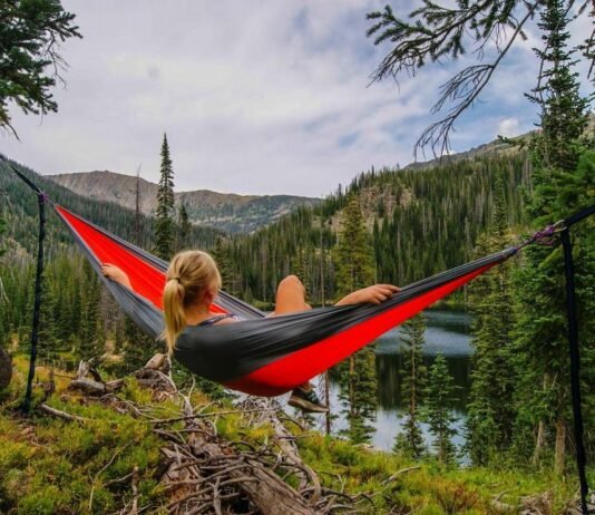 7 Benefits of Using a Stuffed Animal Hammock for Toy Organization Animal Hammock