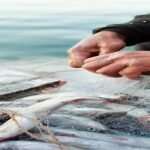 Smart Aquaculture