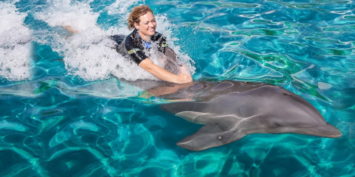 Miami Seaquarium