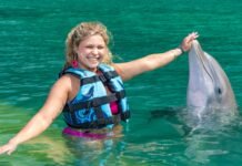 Dolphin Cove Ocho Ríos: Unforgettable Things to Do in Jamaica with Dolphins Dolphin Cove Ocho Ríos