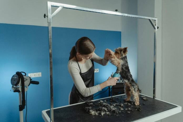 Grooming Business