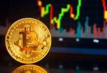 Navigating the Volatile Bitcoin Market Bitcoin Market