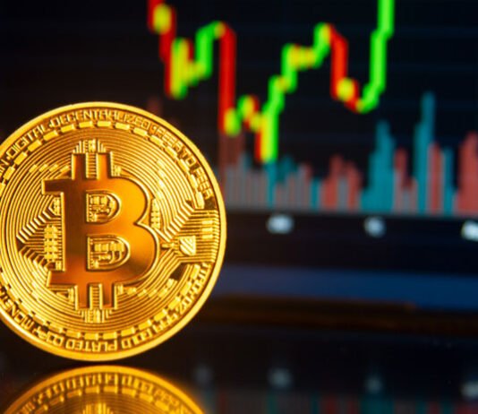 Navigating the Volatile Bitcoin Market Bitcoin Market
