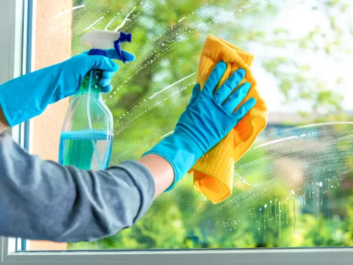 Professional Window Cleaners