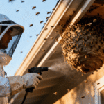 Bee Exterminator Services: Guide About Its Costs, Safe Removal, Species-Specific Techniques, and Long-Term Prevention Bee Exterminator
