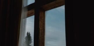 Is the Window Covering Market Poised for a Luxe Revival in 2025? Window Covering Market