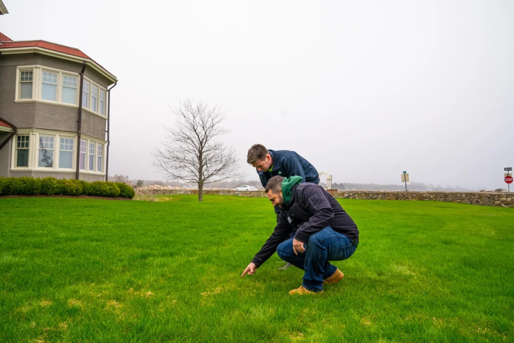 Common Lawn Problems Solved by Lawn Care Providers in Methuen 