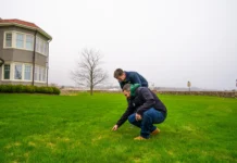 Common Lawn Problems Solved by Lawn Care Providers in Methuen Lawn Problems Solved
