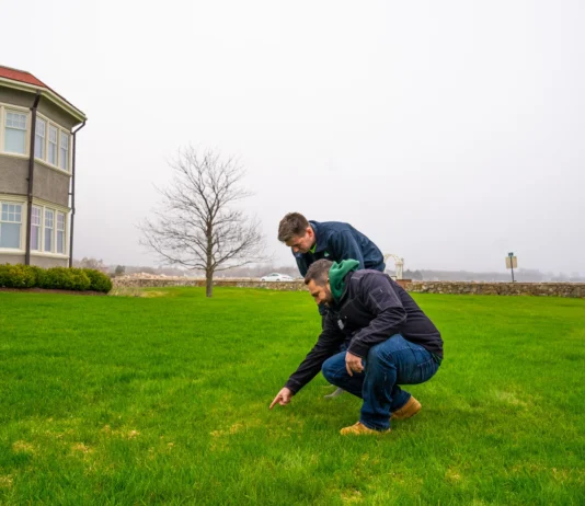 Common Lawn Problems Solved by Lawn Care Providers in Methuen Lawn Problems Solved